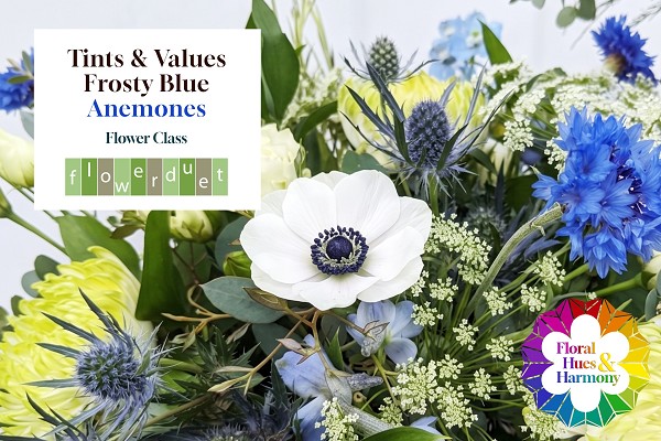Flower Workshops Los Angeles Area Anemones 