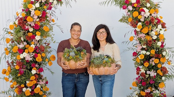 Succulent Pumpkins Workshops Los Angeles Area 